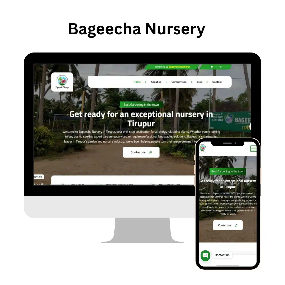 website development portfolio